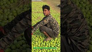 বন্ধুরা আমরা কি খাচ্ছি??? #amazing #tomato #viralvideoシ #viralpost