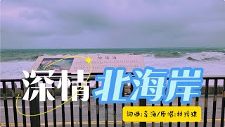 深情北海岸【林琇琪2024愛我你甘敢專輯 】推唱   金曲第四首