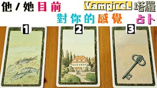 #VampireL塔羅分享 #廣東話塔羅  他/她目前 #對你的感覺 #pile1