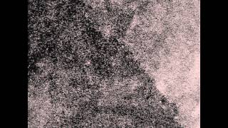 Nature flocking video