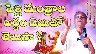 పెళ్లి మంత్రాల అర్ధం ఏమిటో తెలుసా ? hindu wedding manthras telugu || e69news || hindu marrage