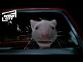 Stuart Is Chased by Cats | Stuart Little (Michael J. Fox, Chazz Palminteri)