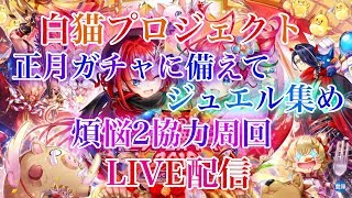 【白猫プロジェクト】初見さん大歓迎！正月ガチャに備えてジュエル集め、煩悩２協力周回やっていきます！（概要欄見てください）（スポンサー様募集）