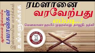 உங்களுடைய குழந்தைகள் பருவம் அடைந்து விட்டால் உடனே திருமணம் செய்யுங்கள்| WHATSAPP TAMIL BAYAN