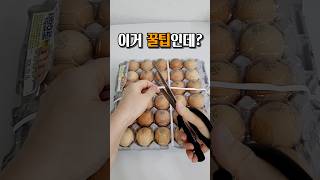 계란 정리 보관은 이렇게 해보세요 #shorts