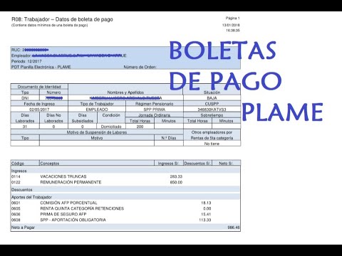 Ejemplo De Boletas De Pago