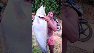 জাল ফেলে মাছ ধরলো 😱#shorts #fishing