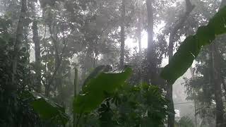 രാവിലെ എന്താ മഴ /അടിപൊളി മഴ /Rain / മഴ നോക്കി ഇരിക്കുന്നവർ comment 😜