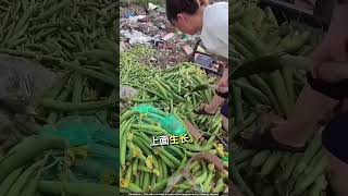 日本利用食物垃圾养鸡的惊人方式！ 🤯🐔  #farming