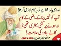 Jalaluddin Rumi Quotes In Urdu  | Maulana Rumi Aqwal e Zareen | #Shayari |مولانا رومی کے اقوال