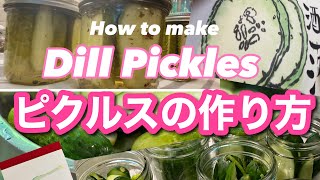 【保存食】ピクルスの作り方（基本）🥒きゅうりのピクルス🥒アメリカでピクルスを作り続けて１０年経ちました　早！