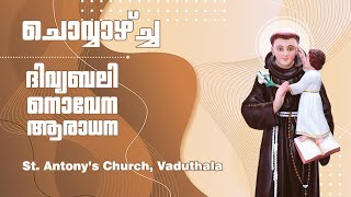 St.Antony's church VADUTHALA, Kochi,14 JAN 2024 Holy Mass, Novena, Adoration ,6.00 AM, 5.30 PM