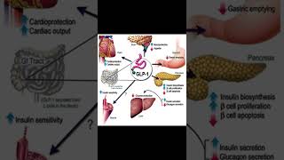 爲什麽要先吃肉后吃飯 #抗衰老 #健康新知識 #慢性代謝性疾病