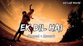 Ek Dil Hai ❤️ - Lofi ( Slowed And Reverb ) | Alka Yagnik , Kumar Sanu | Ek Rishtaa | Lofi Songs