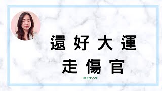 還好大運走傷官 | 八字案例 (CC 繁/簡字幕)