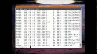Intro to Linux Command Line Interface (CLI) 2