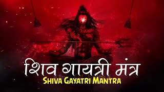 Maha Shivratri Special 2023 SHIV GAYATRI MANTRA 108 TIMES - OM TATPURUSHAYA VIDMAHE -