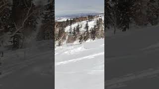 2024/3/24  三段山バックカントリー　　#snowboarding