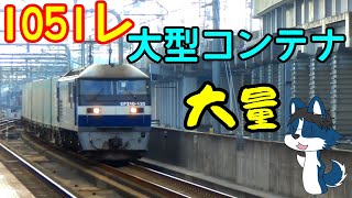 [貨物の再現資料にどうぞ] 東海道･山陽本線の推し列車1051レ集