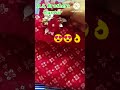 kids shopping vlog r.s. brothers guntur shorts viral youtubeshorts shortvideo guntur