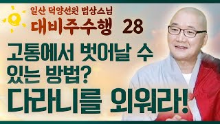 고통에서 벗어날 수 있는 방법! 다라니를 외우고 들어라! [일산 법상스님의 대비주수행 28회]