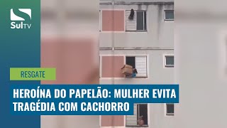 Vizinha salva cachorro de queda da janela do 5º Andar em SP