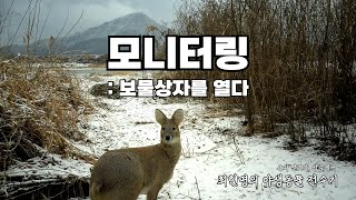 최현명의 야생동물 전수기 EP.5 모니터링 : 보물상자를 열다