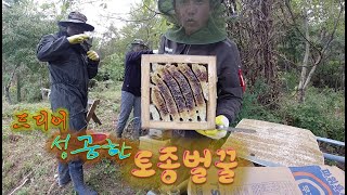 Native honey that has only failed for years!! Finally, acquires native honey!