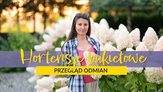 Hortensje bukietowe. Przegląd odmian.