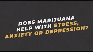 Ask an Expert: Dr. Jasmin Zavala on Whether Marijuana Helps Stress, Anxiety or Depression | You Can