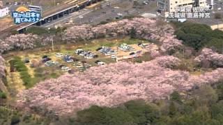 千葉県 佐原～茨城県 鹿島神宮：鹿嶋市　鹿島城山公園～鹿島神宮参道　【空から公式】