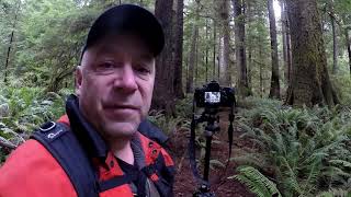 Spruce Bay Old Growth Trail