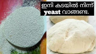 യീസ്റ്റ് ഇനി വീട്ടിൽ തന്നെ ഉണ്ടാക്കാം/Homemade Yeast/Fresh Yeast