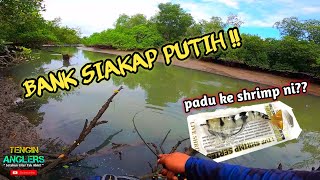 💢GASAK! Pesta strike SIAKAP PUTIH makan Softplastic (Ryobi Ultrapower)