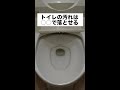 トイレの陶器の汚れ・尿石を簡単に落とす手順 shorts