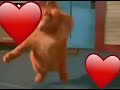 toşu ay toşu 😝😝