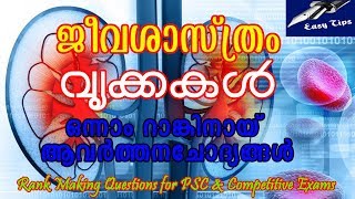 വൃക്കകള്‍ | KIDNEYS