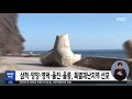 삼척·양양·영덕·울진·울릉 특별재난지역 선포 2020.09.15 5mbc뉴스