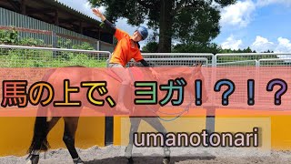 馬ヨガ、初体験！(馬ヨガコース紹介)