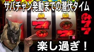 【獣王】動物勢揃い→確定演出三つ→サバチャン突入【パチスロ】