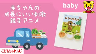 ＜赤ちゃんの成長にいい刺激！おやこアニメ＞専門家の太鼓判付き！喜ぶテンポとよく見えるアニメ【しまじろうチャンネル公式】