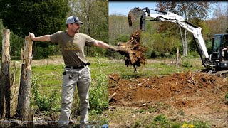 Land clearing expanding Illinois food plots with Bobcat e42 Mini ex