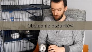 Freci manicure - obcinanie pazurków