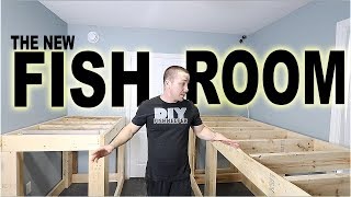 STARTING the new FISH ROOM - Part 1