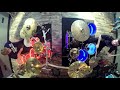 Thunder by Imagine Dragons (feat. COOP3RDRUMM3R) Drum Cover