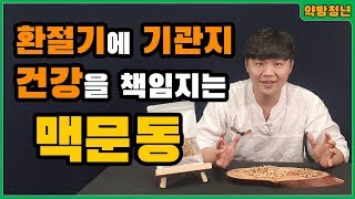 맥문동효능과 맥문동차 만드는법