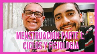 Menstruación parte 1: Ciclos y fisiología