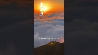 非常荣幸能受邀参加“2024山东省文旅产业高质量发展大会”，你好，山东！#山东 #旅游