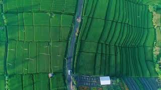 PUNJAB 2021 DRONE VIDEO || Drone video || Beautiful Nature 🤓🤓🤓