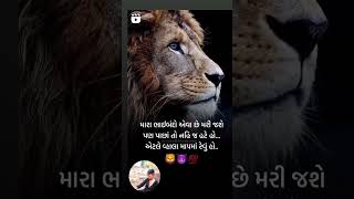 લાઈક કરો કોમેન્ટ કરો અને શેર કરો ભાઈ તમારો નાનો ભાઈ સમજીને સસ્ક્રાઇબ કરી દેજો ભાઈ